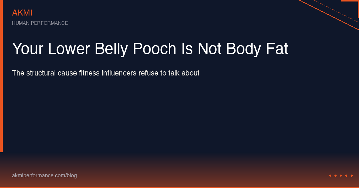 Anatomical side view showing how anterior pelvic tilt creates the visual appearance of a lower belly pooch